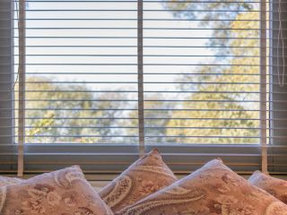 Cordless blinds and shades providing modern and sleek window coverings.